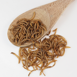 Dried mealworms