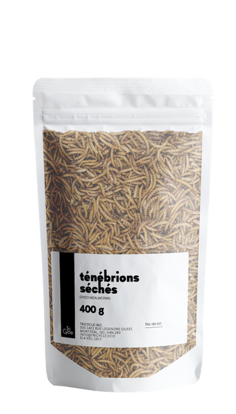 Dried mealworms